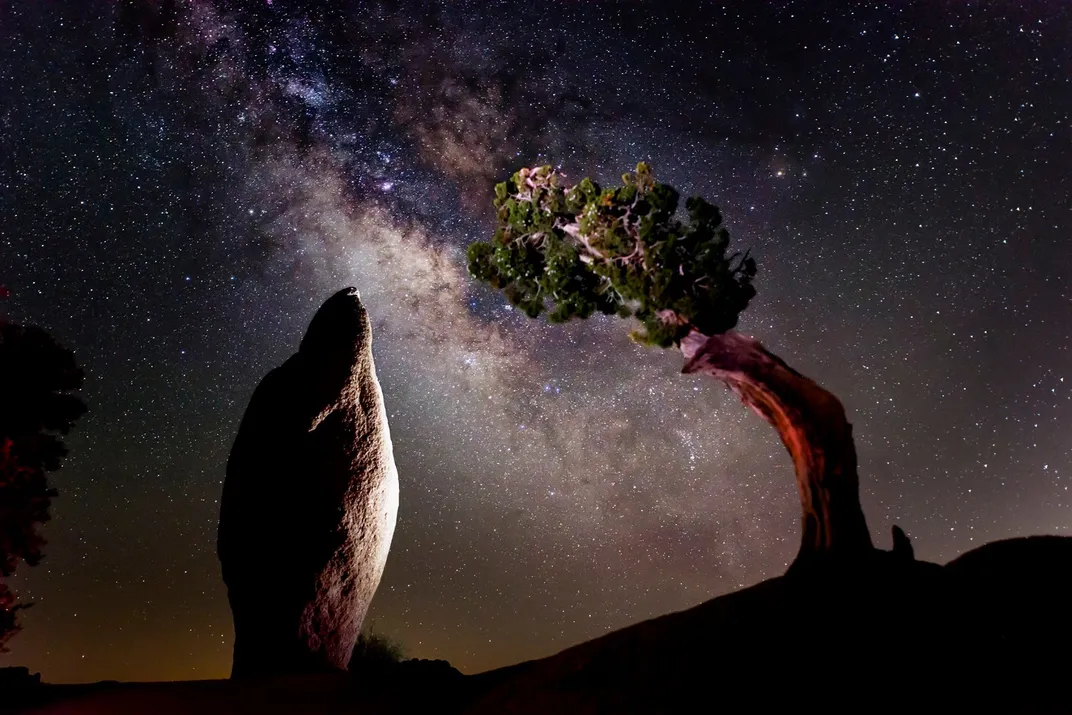 Milky Way behind rock and tree