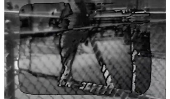 Still from Walking (interstices), 1975 / Ingrid Wiegand. U-matic : 1 videocassette (U-Matic) : sd., col. ; 3/4 in. Robert Wiegand papers and video art, 1953-1994. Archives of American Art.