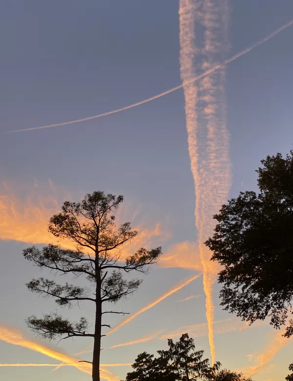 Sunset Show thumbnail