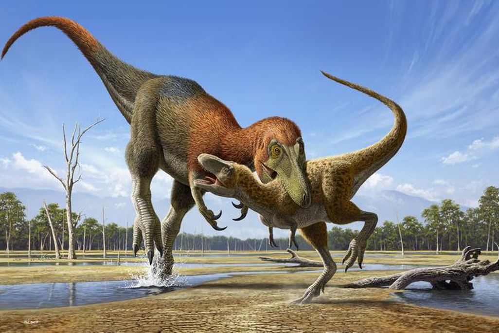 two dinosaurs, one larger than the other, fighting in an illustration