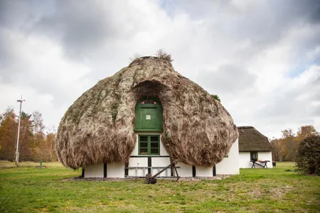 Thirty-six homes&mdash;the world&rsquo;s last topped with a traditional eelgrass roof&mdash;all sit here on Laeso.