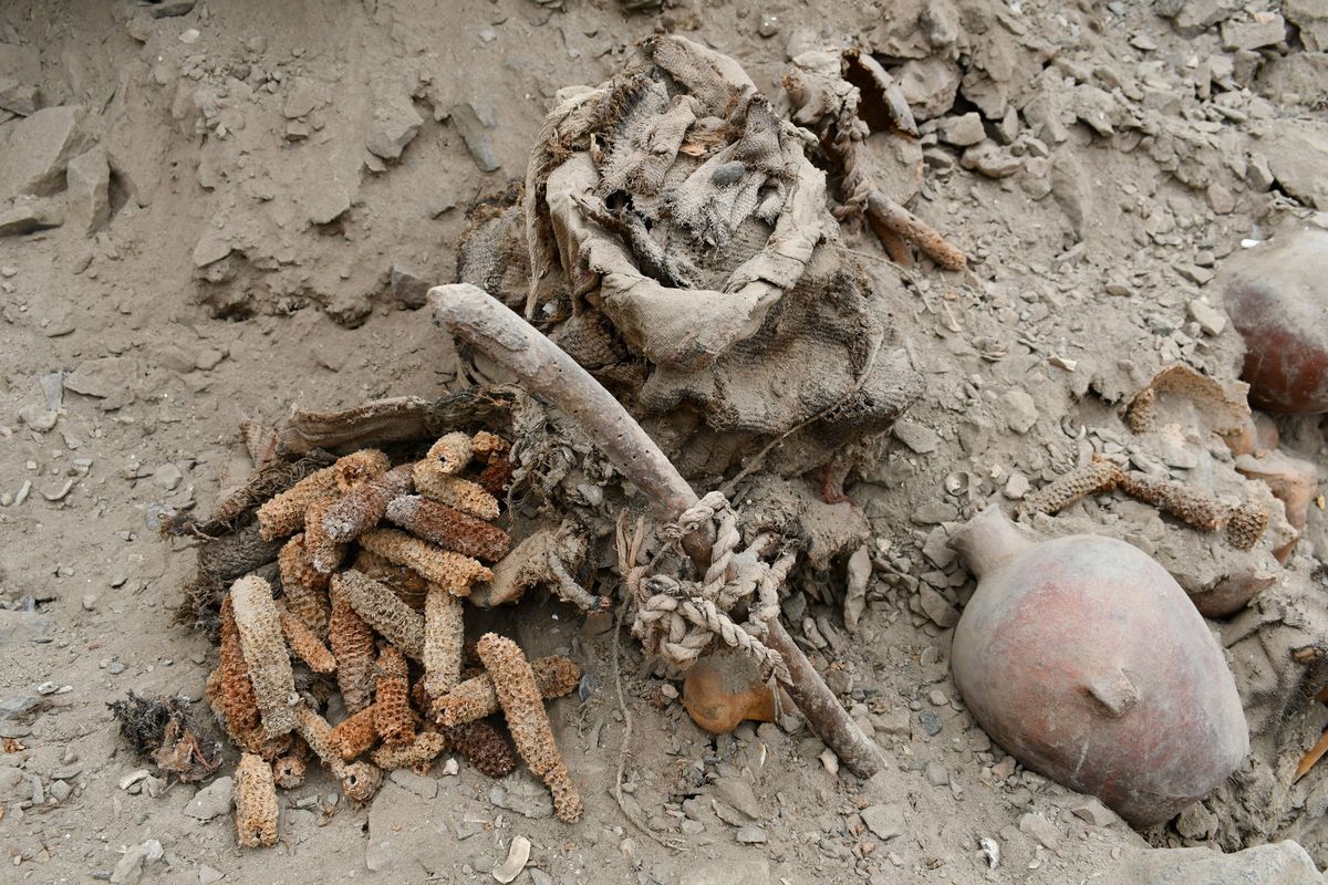 Archaeologists in Peru Discover Graves of Men, Women and Children Killed in Battle, Then Buried With Honor
