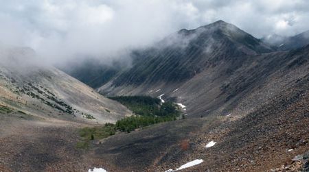 Trees grow at high elevations in the Rockies, fed by melting snow.