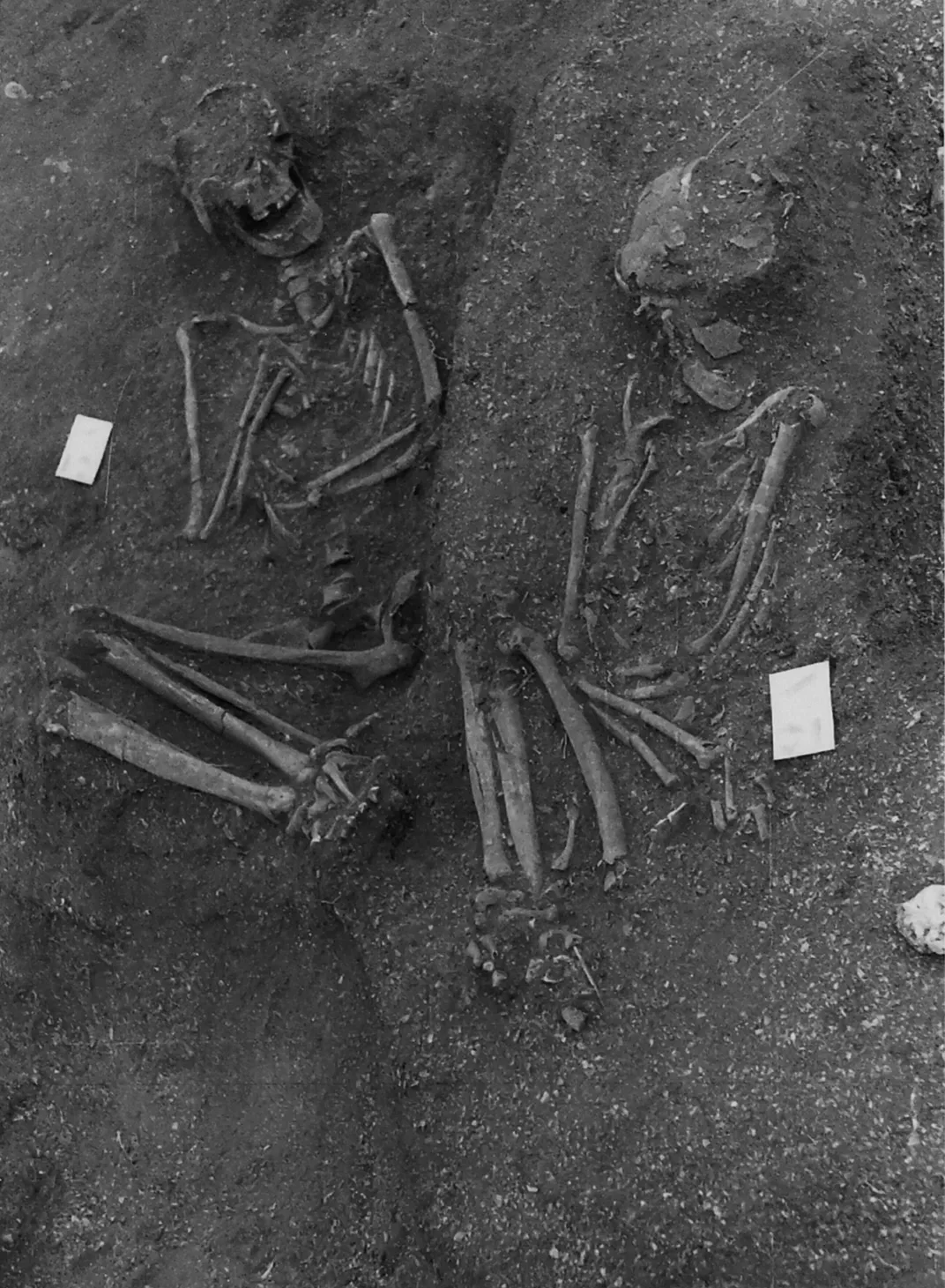 black and white image of two skeletons in fetal positions half buried in sediment at dig site