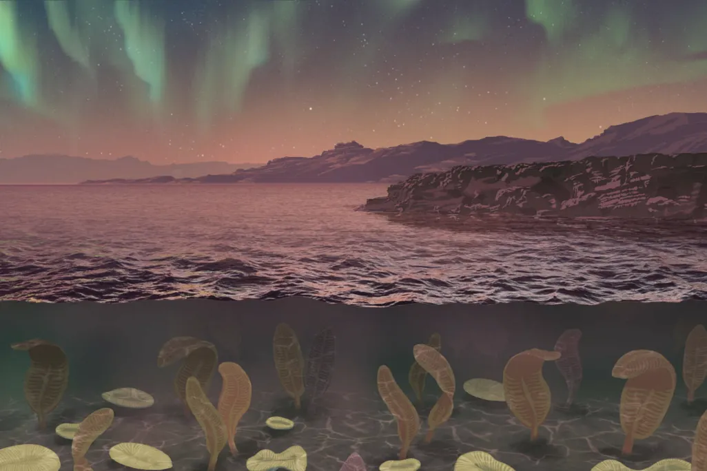 an illustration of fan-like organisms under the water beneath aurora-like green streaks in the sky