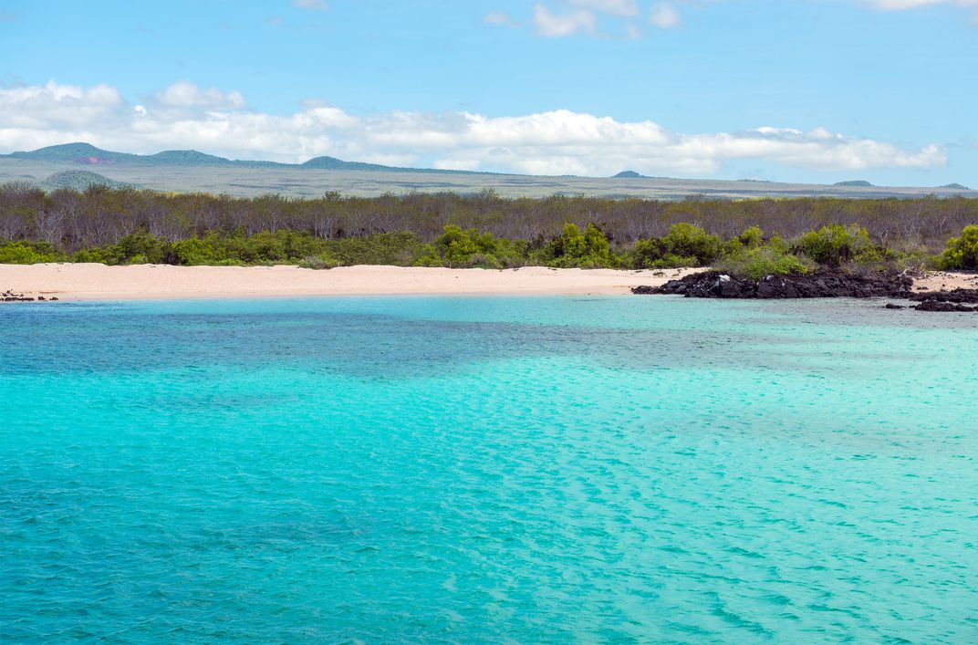 Sandy beach on North Seymour Island