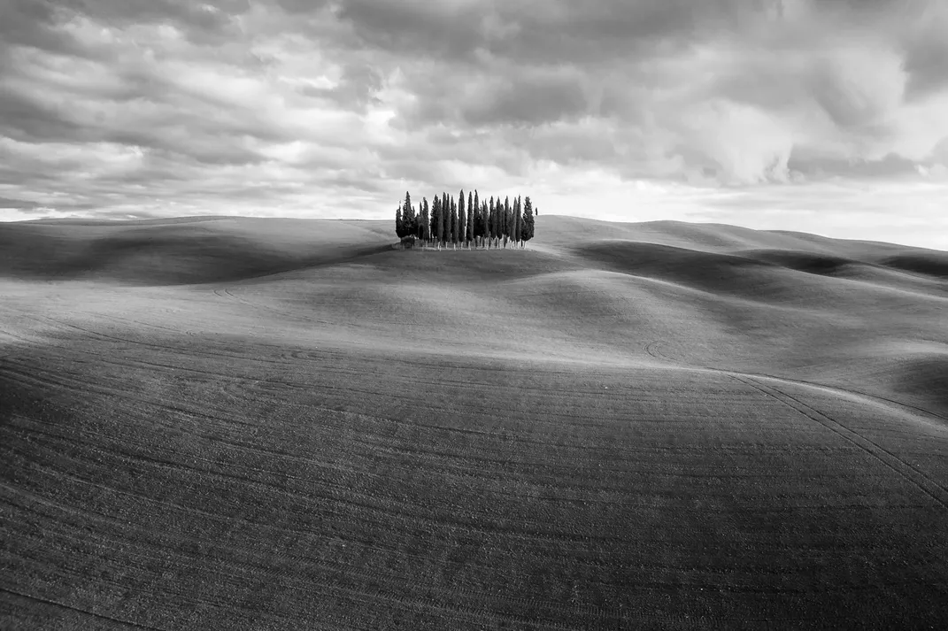 A black and white image of trees in San Quirico d'orcia, in Tuscany, Italy