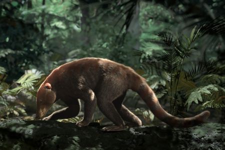 CGI rendering of ancient Loxolophus mammal taken from the PBS NOVA special, Rise of the Mammals. In this recreation, Loxolophus scavenges for food in the palm dominated forests found within the first 300,000 years after the dinosaur extinction.