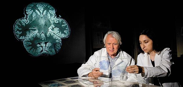 John Allman and Atiya Hakeem examing elephant brain specimens