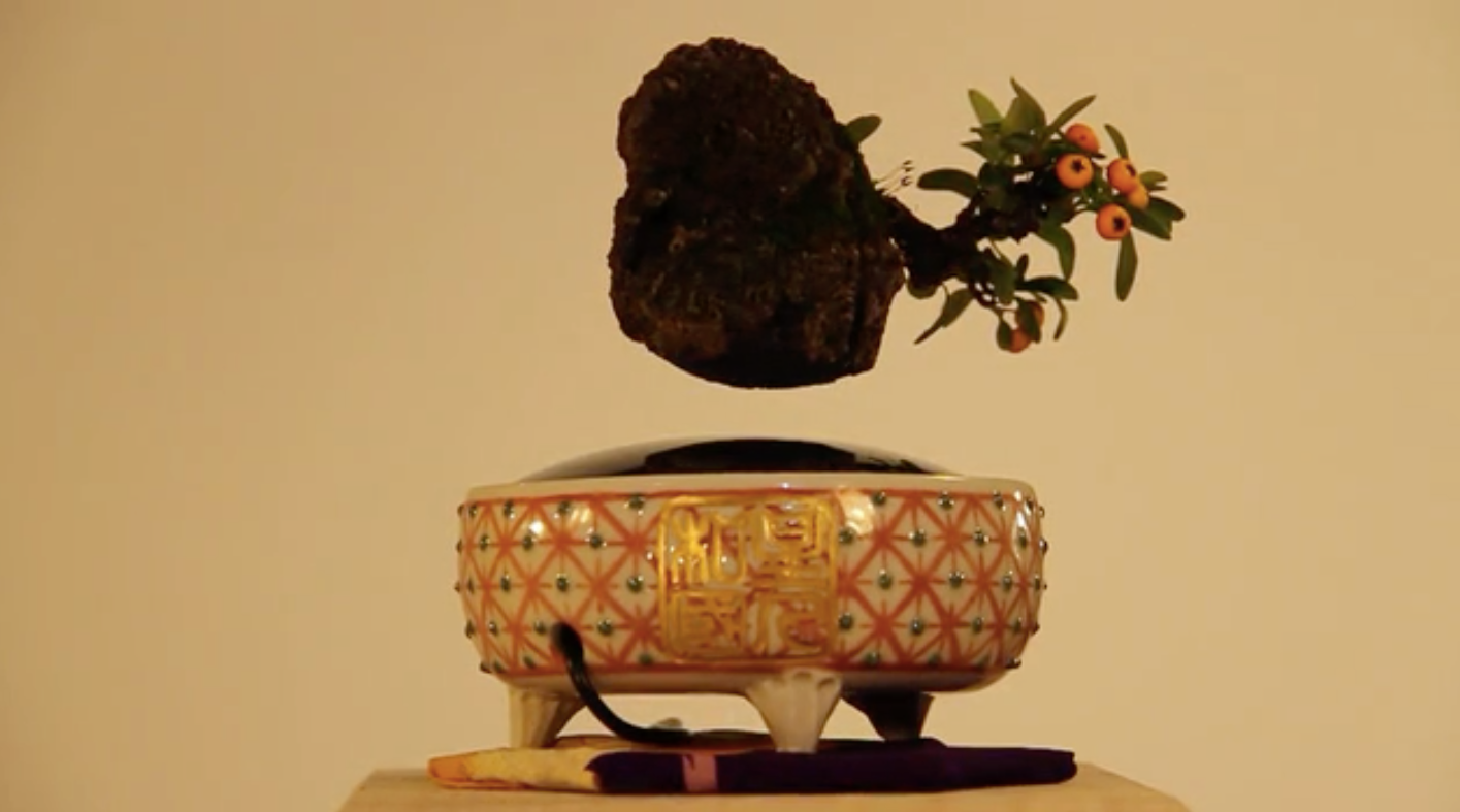 Levitating Air Bonsai Uses Magnets to Float Twirling Plant in