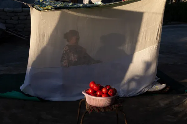 A woman in the mosquito net thumbnail