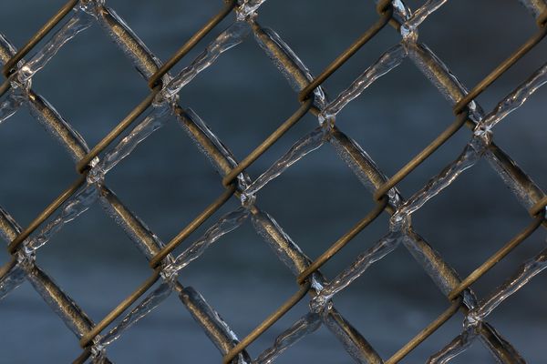 Ice art on chain link fence thumbnail