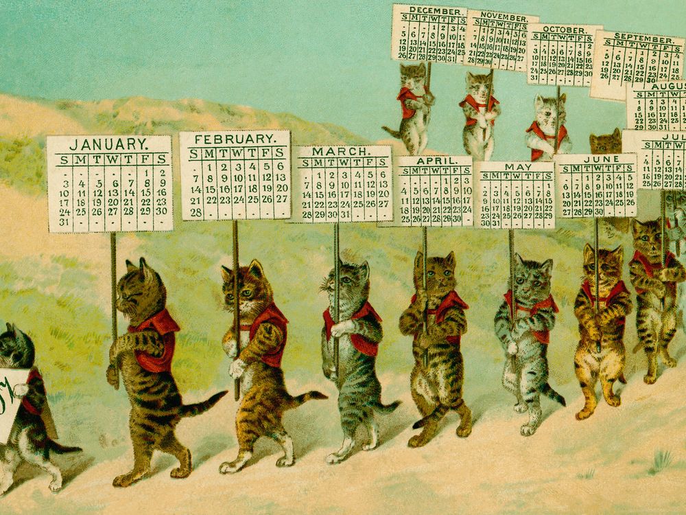 Cat Calendar