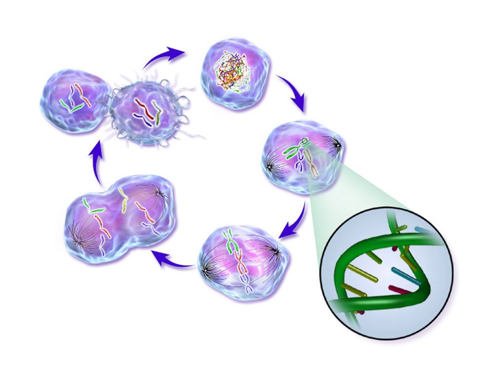 An illustration depicting the life cycle of a cancer cell