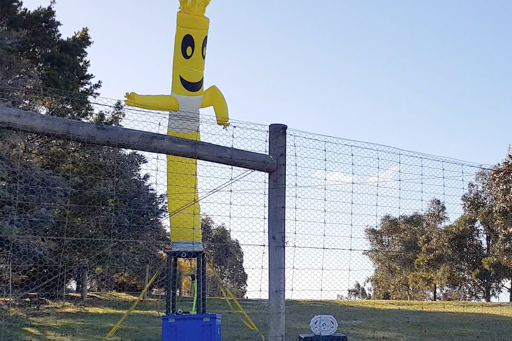 An inflatable yellow tube man stands behind a fence.