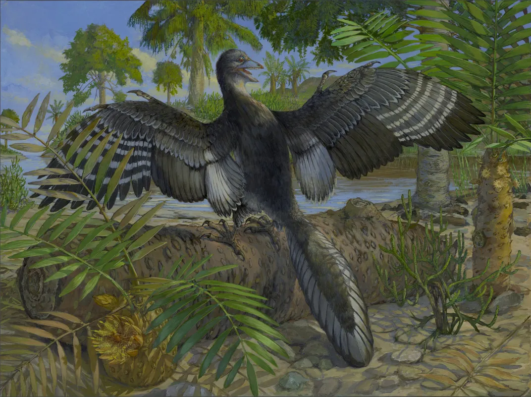 Illustration showing Archaeopteryx with tertial feathers.