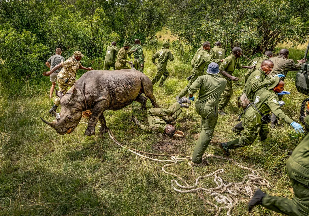 Rhino and Handlers