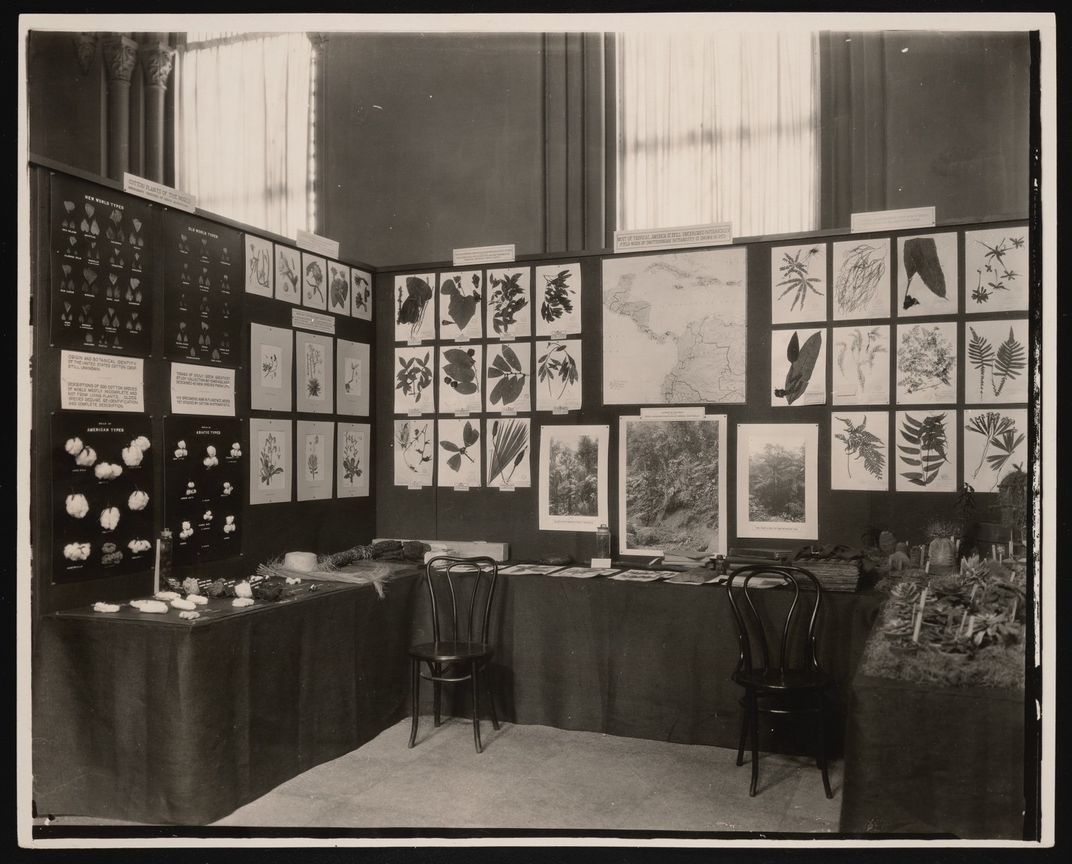 Pressed plants displayed in a booth