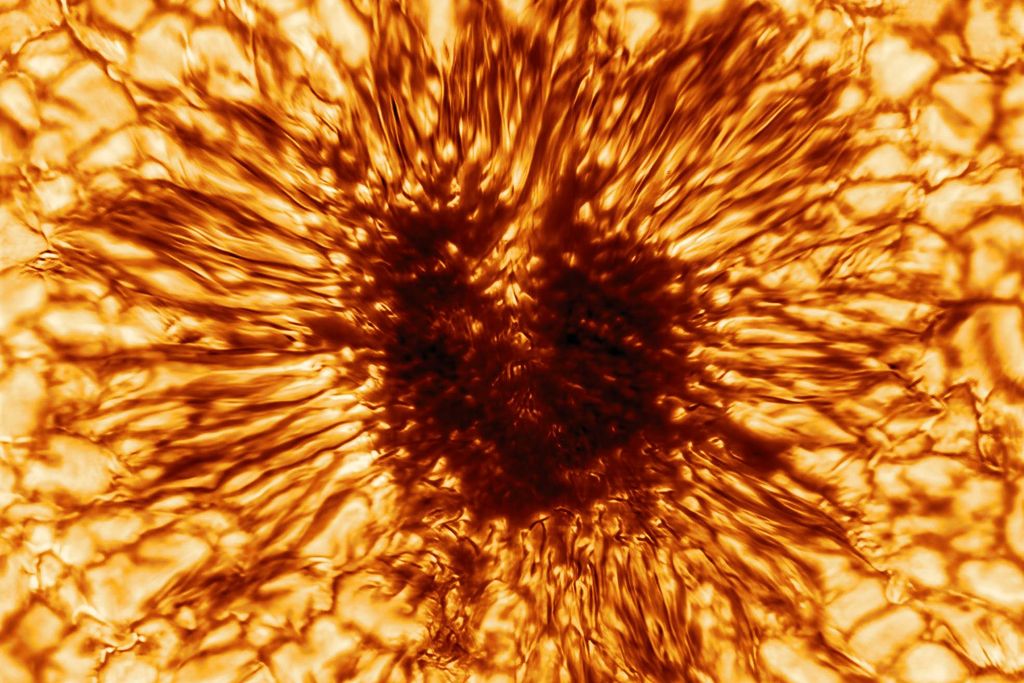 Photograph of a sunspot has a dark heart-shaped center and dark tendrils that expand into the bright orange and yellow surface of the Sun
