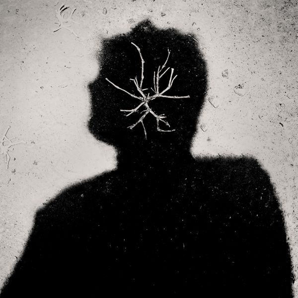 Self portrait thumbnail