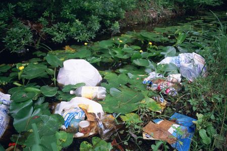 Litter and garbage dumped in wetland area among water lilies and marsh plants