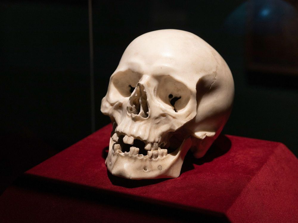 A marble skull sculpted by Bernini