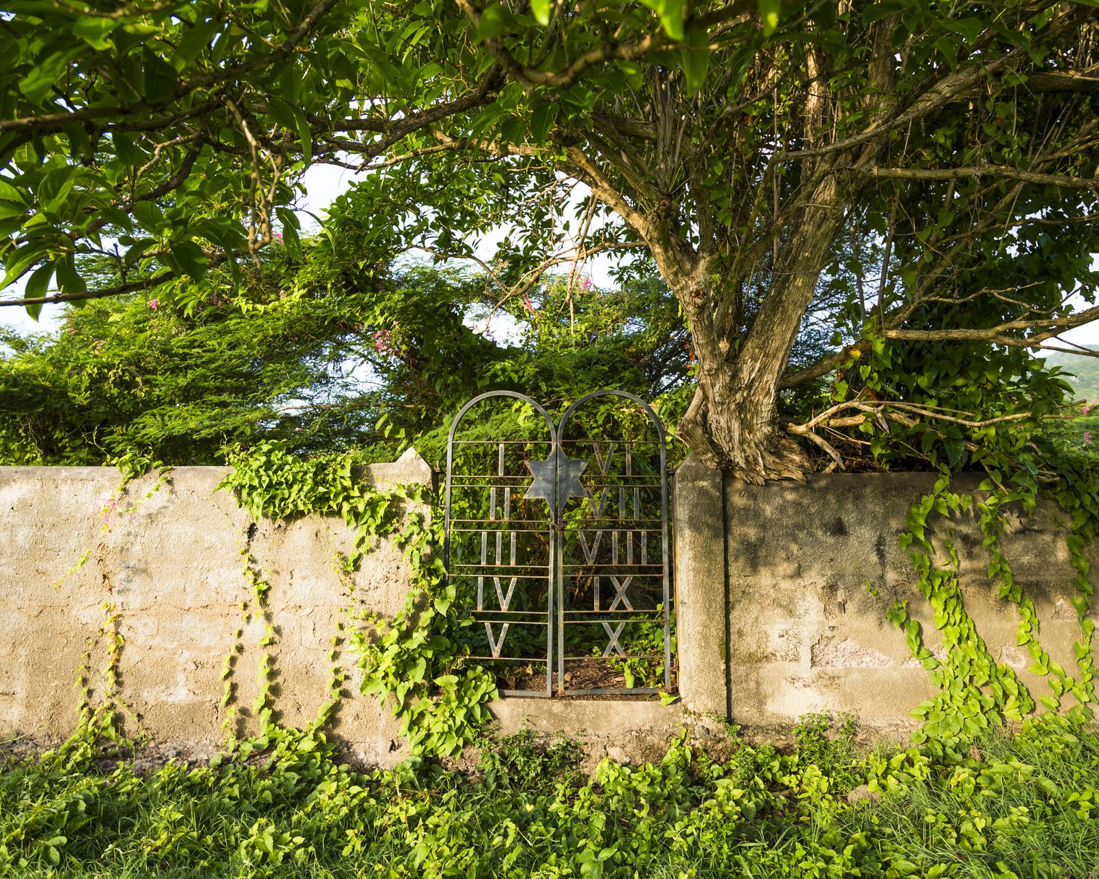 This Jewish Community in the Caribbean Smuggled Gunpowder to the Patriots During the Revolution. A British Admiral Condemned the Island as a 'Nest of Vipers'