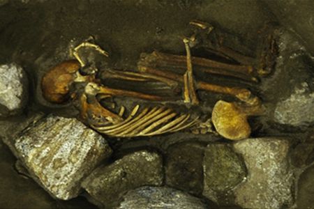 The adult female skeleton