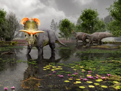 A reconstruction of Lokiceratops in the 78-million-year-old swamps of northern Montana—as two Probrachylophosaurus move past in the background.