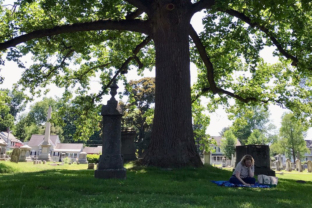 A woman sits on a blanket in the grass in the shade of a tree, with gravestones behind her.