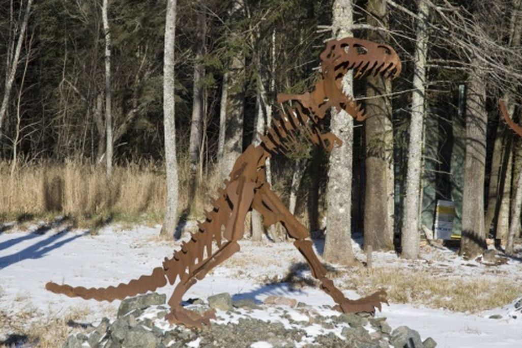 20110520083203north-shore-dinosaur.jpg