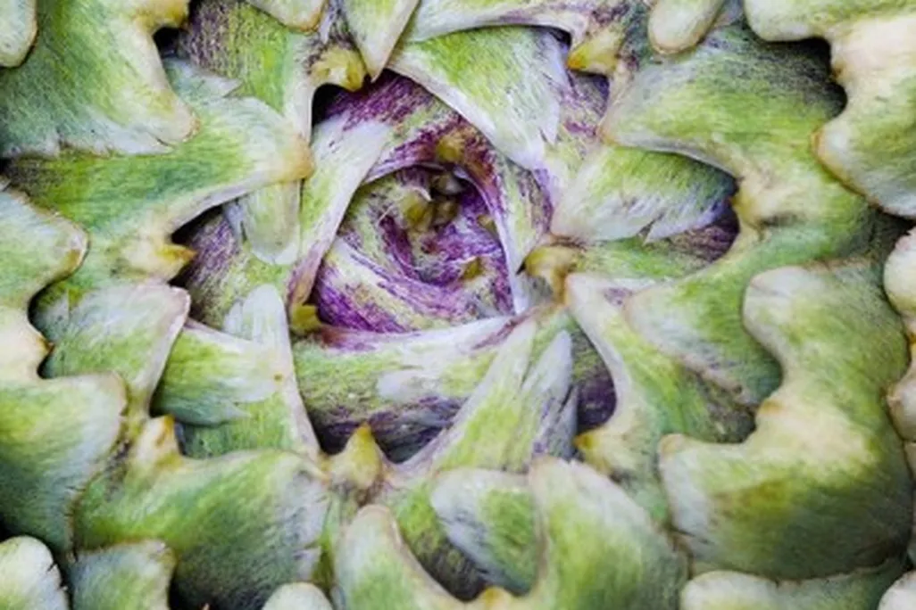 20110520090132artichoke_Thomas_Hawk_151814910_0904f8601a-400x400.jpg
