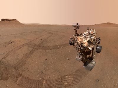 NASA&#39;s Perseverance Mars rover took this selfie with some of the sample tubes it left on the Red Planet&#39;s surface using the camera at the end of its robotic arm.