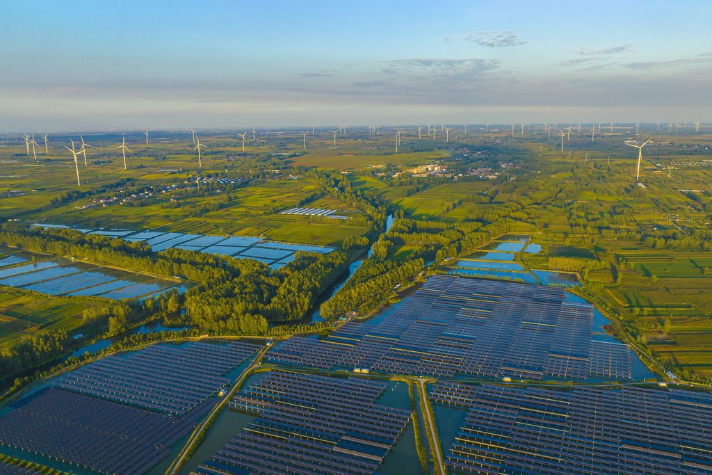 Solar panels and wind turbines stand among trees and other greenery in China's Jiangsu province.