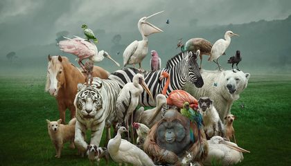 Why Some Scientists Want to Stop Naming Organisms After People