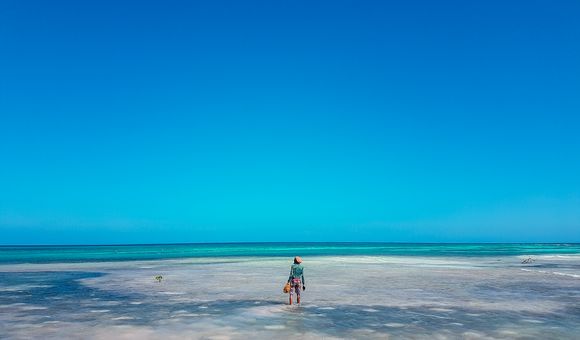 Belize seaweed farming pioneer Lowell 