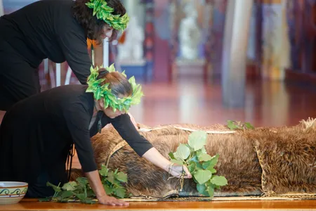 Covering the tūpuna (Māori ancestral remains) with the leaves of the kawakawa