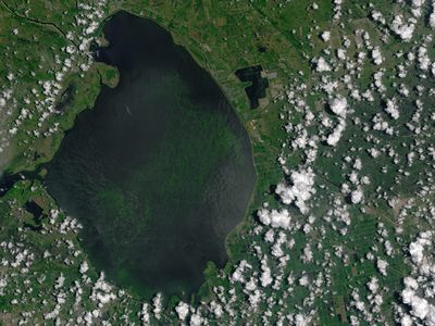 This image, taken in 2016 by NASA's Operational Land Imager (OLI) on the Landsat 8 satellite, shows an algal bloom covering 33 square miles, or about 4 percent, of Lake Okeechobee. This year's bloom is significantly bigger, covering 90 percent of the lake.