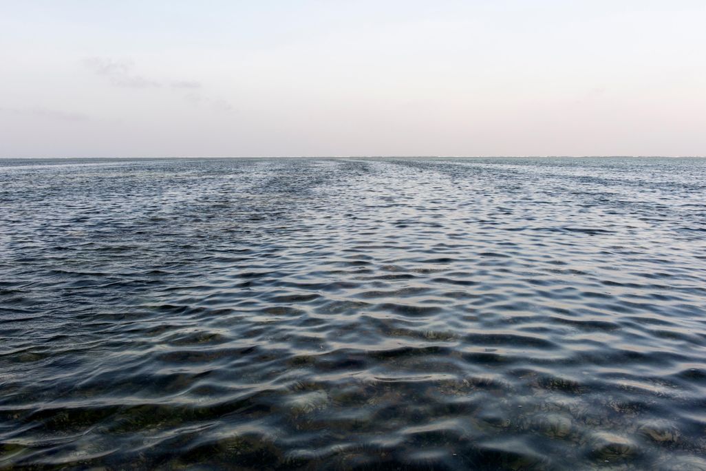 ocean