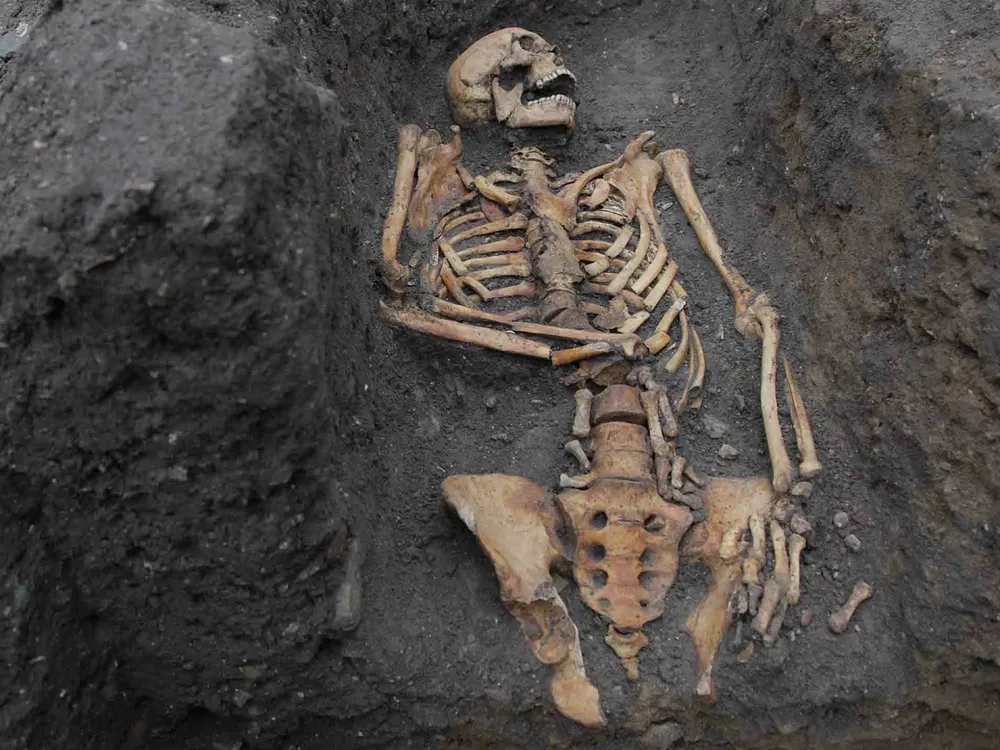 A skeleton surrounded by dark brown dirt and mud; the bones are arranged lying down with the head turned to one side, all yellowed