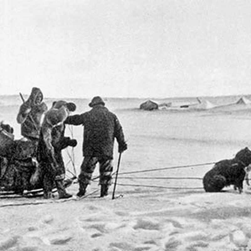 early arctic explorer