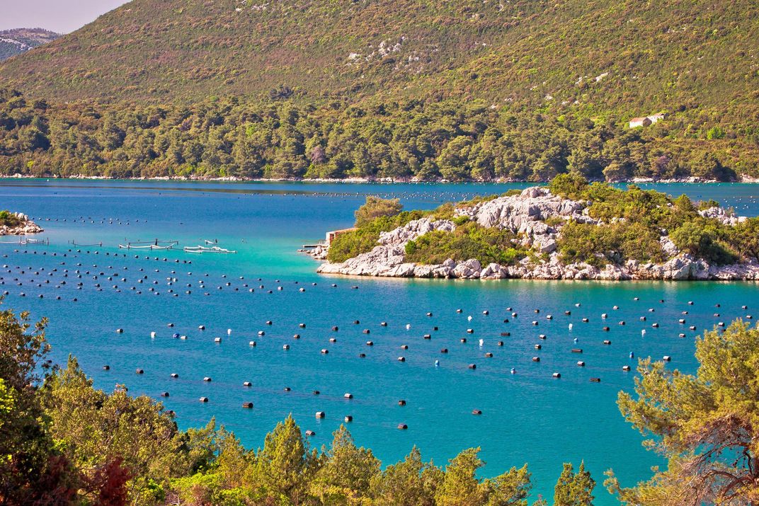 Oyster farm in Ston