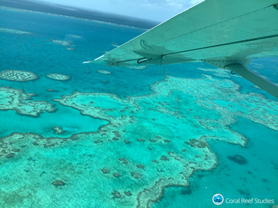 A survey of 1,036 reefs in the Great Barrier Reef over the last two weeks of March revealed the most widespread bleaching event on record.