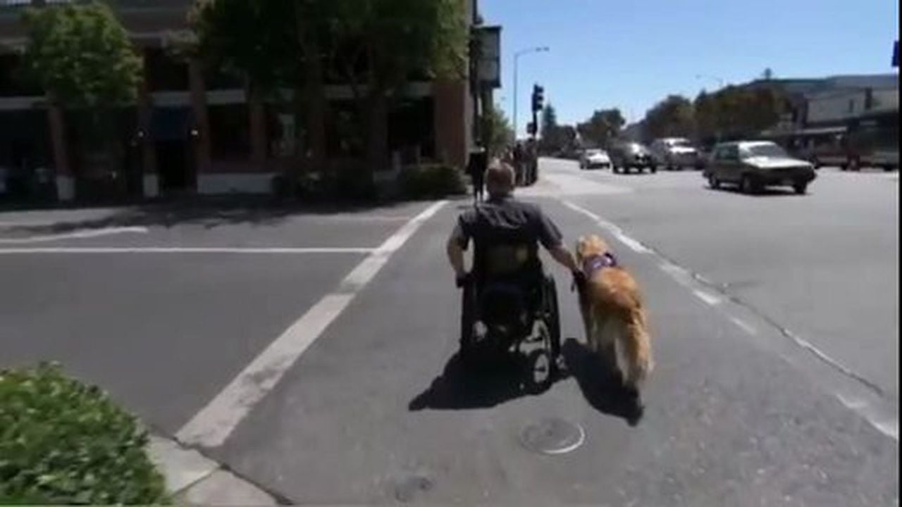 Preview thumbnail for How Dogs are Replacing Drugs in the Treatment of PTSD
