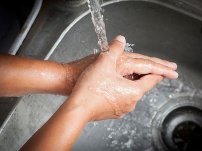 Washing your hands will make them clean, but it may not get rid of the microbes that live there.