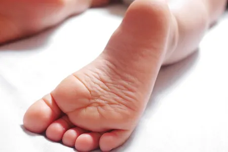 Study suggests that early humans had opposable, ape-like big toes built for grasping