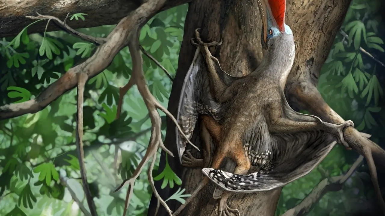 A Prehistoric Flying Creature Nicknamed 'Monkeydactyl' May Have Climbed  Trees Using Opposable Thumbs