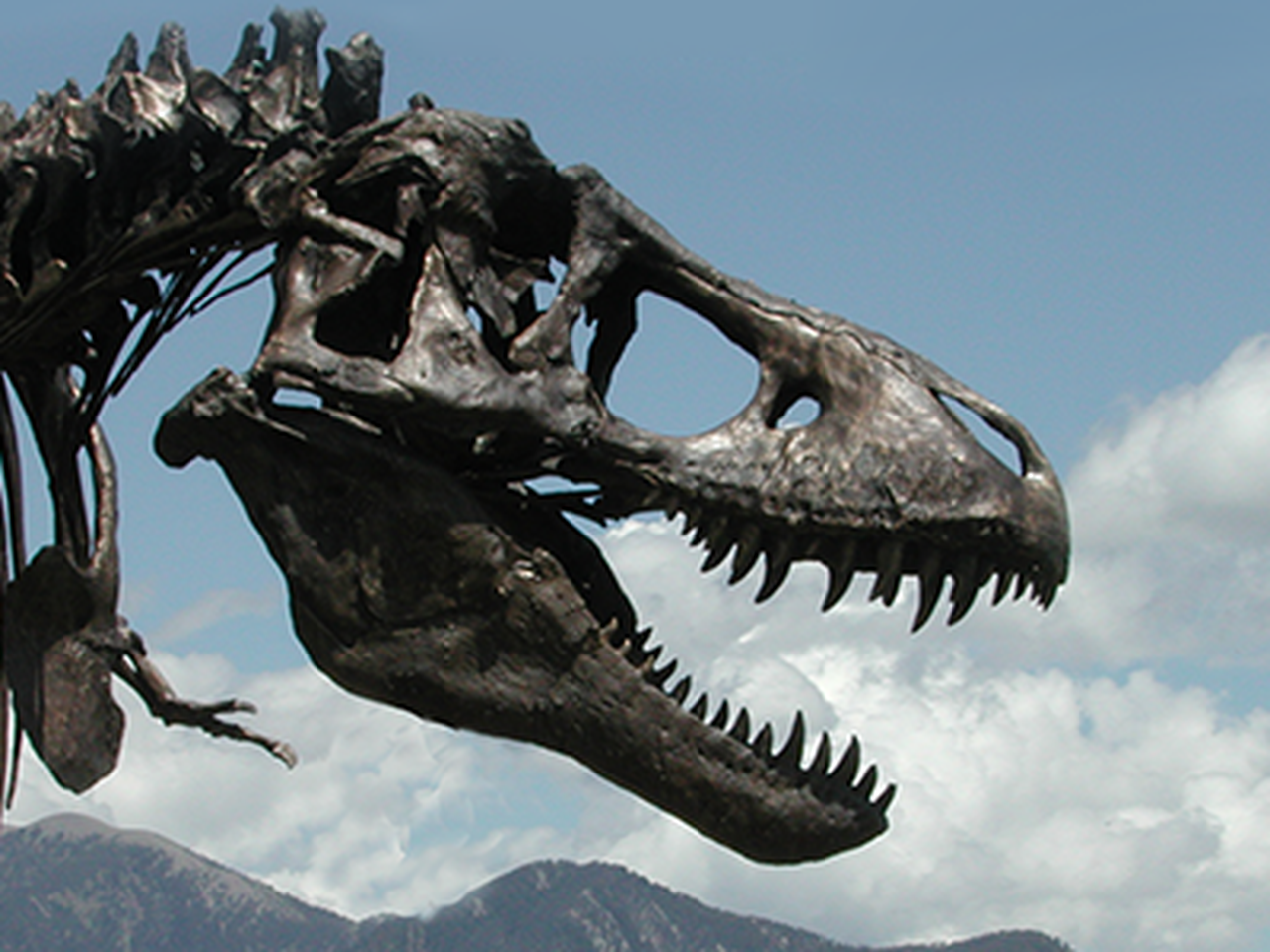 After 103 Years, the Natural History Museum Finally Gets Its Own