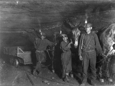 Child coal miners with mules in Gary, West Virginia in 1908. Working conditions were brutal for coal miners, and unionization was violently suppressed. 
