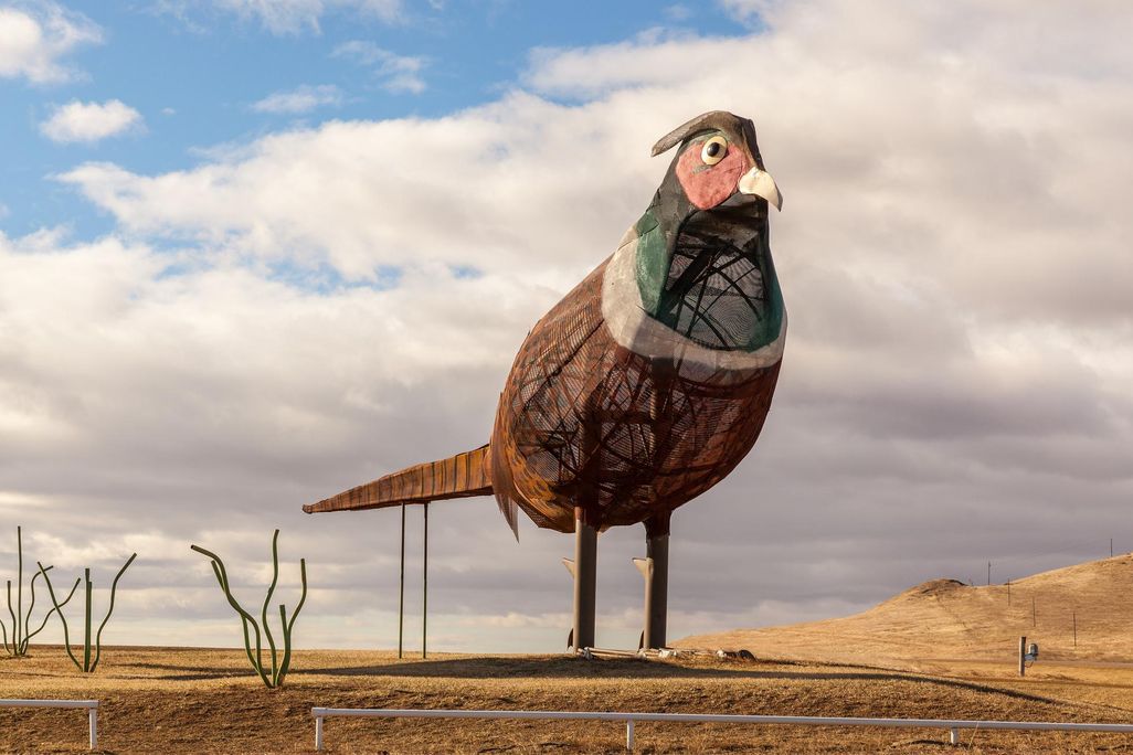 Pheasants on the Prairie